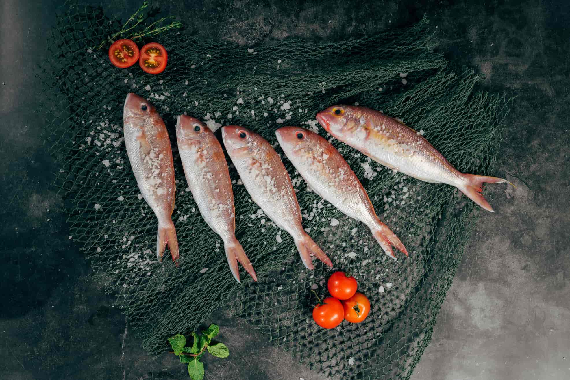 Fisheries