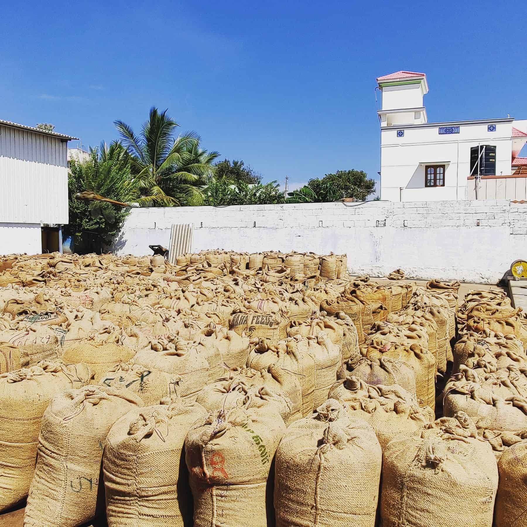 Bulk Neem Sacks Storage